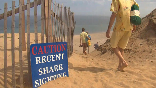 shark-sighting-sign-truro.jpg 