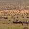 The Great Migration