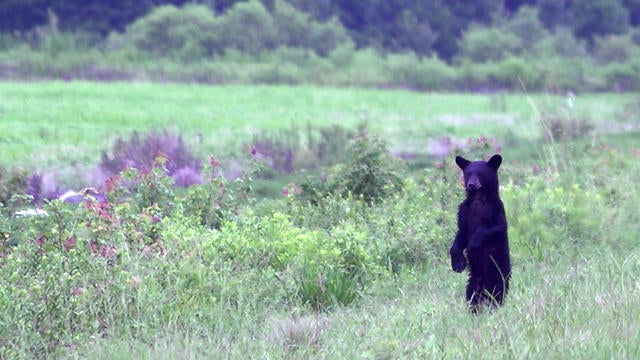0909-sunmo-nature-1653683-640x360.jpg 