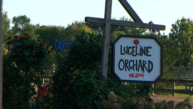 Luce Line Orchard 