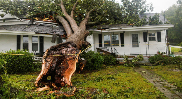 A downed tree rests on a house during the passing of Hurricane Florence in the town of Wilson 