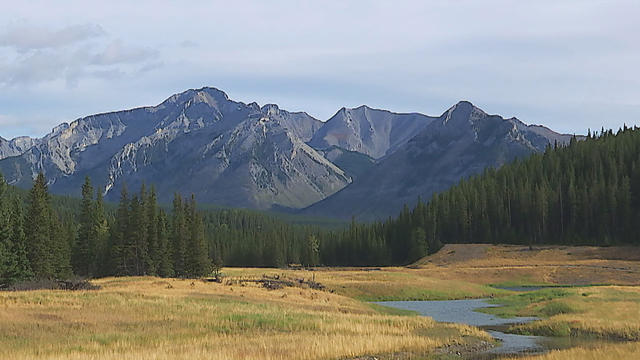 rockies-replace-1659110-640x360.jpg 