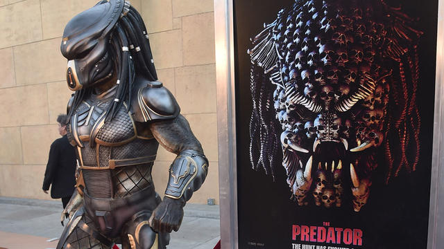 predator.jpg 