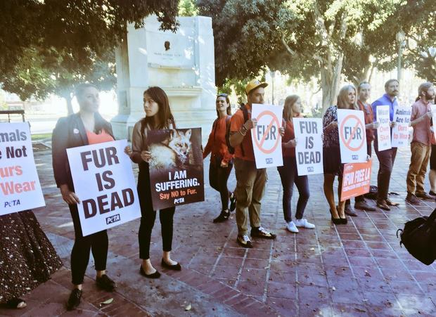 LA City Council To Consider Moving Forward With Ban On Fur 
