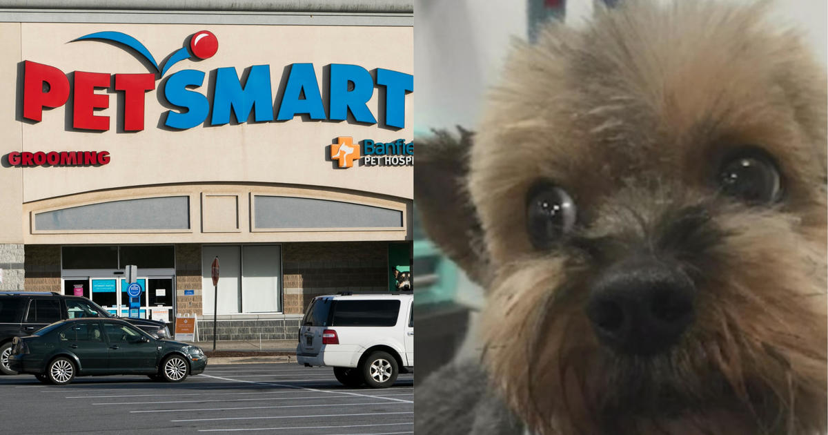 how many dogs died at petsmart
