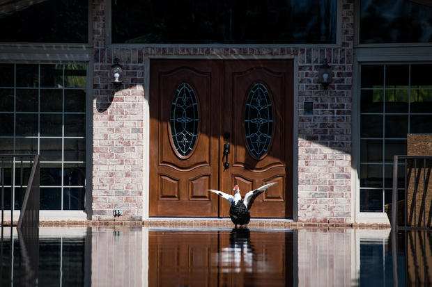 South Carolina Flooding Continues Over A Week After Florence Made Landfall 