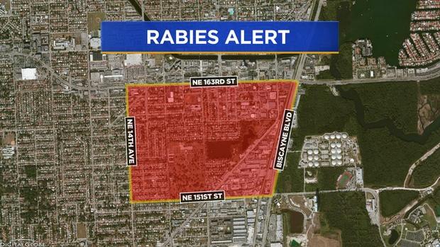 Rabies Alert NMB 