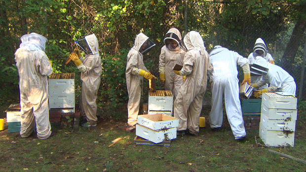 Beekeeping class 