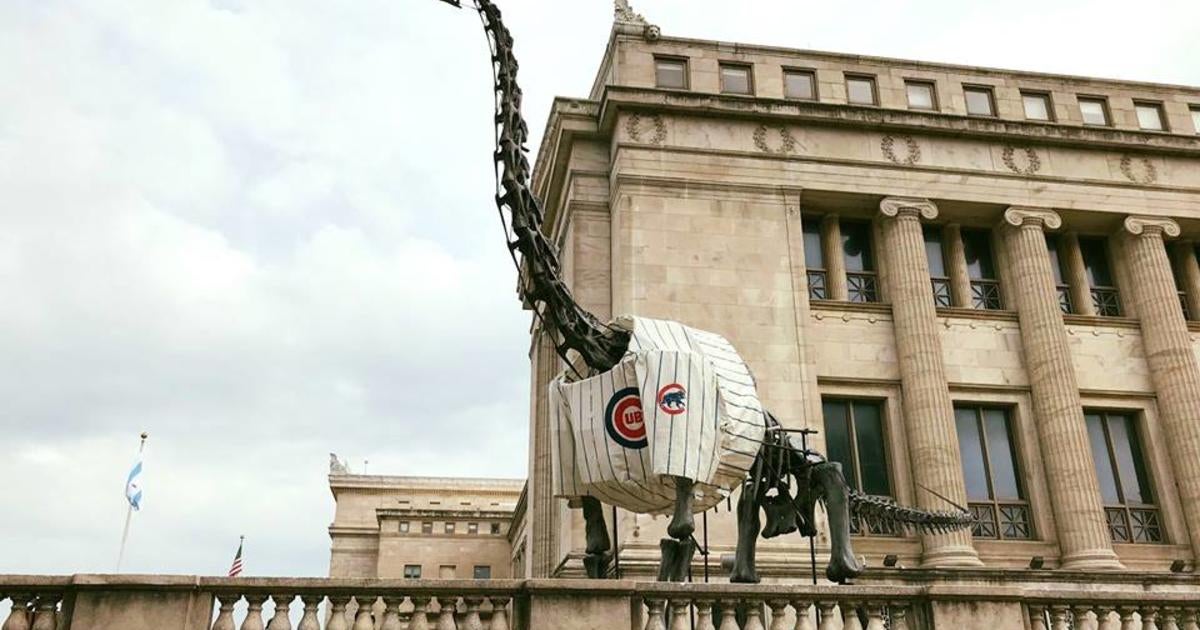 field museum brachiosaurus