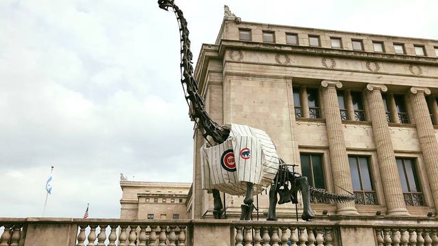 field-museum-brachiosaurus.jpg 