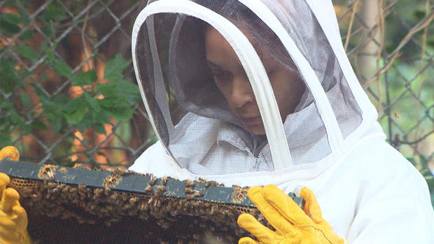 Beekeeping student 