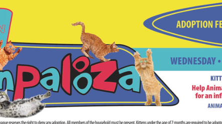 kittenpalooza.png 