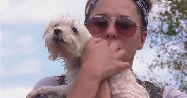 Dog survives nearly 2 weeks on couch in flooded home - CBS News