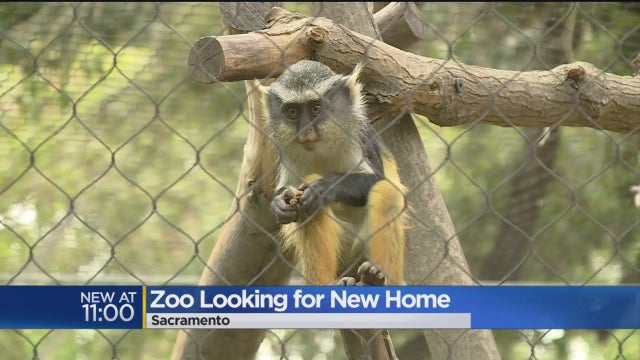 zoo-home-new.jpg 
