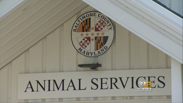 1004animalservices.jpg 