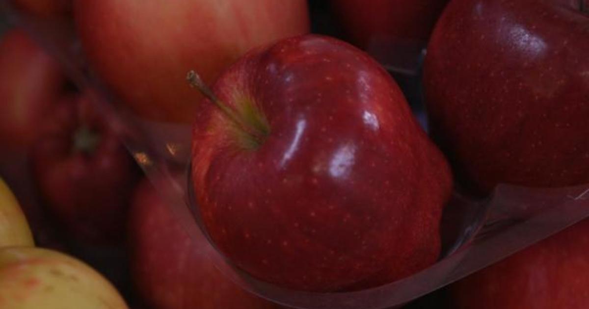 Hungry Girl - What's the most popular apple in America? Apparently Gala has  bumped Red Delicious from the top spot! What's your apple of choice?  #firstdayoffall