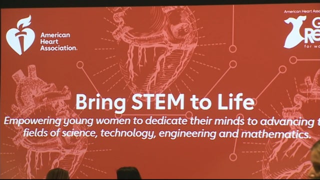 stem-4-life5.jpg 