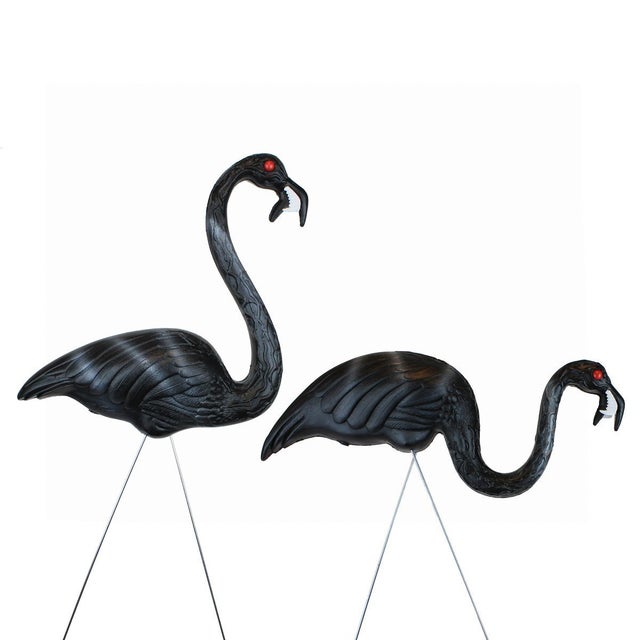 zombie flamingos 