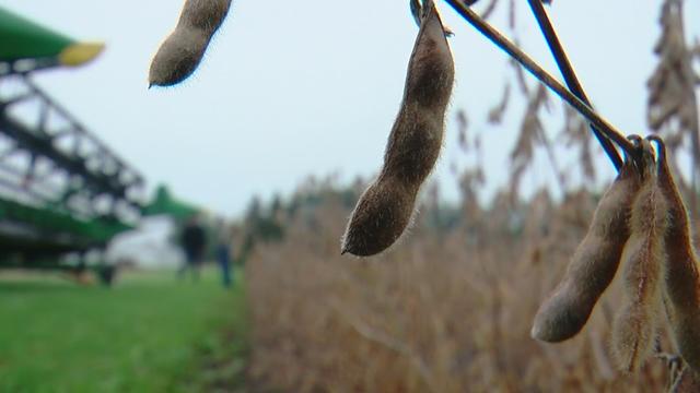 late-fall-harvest.jpg 