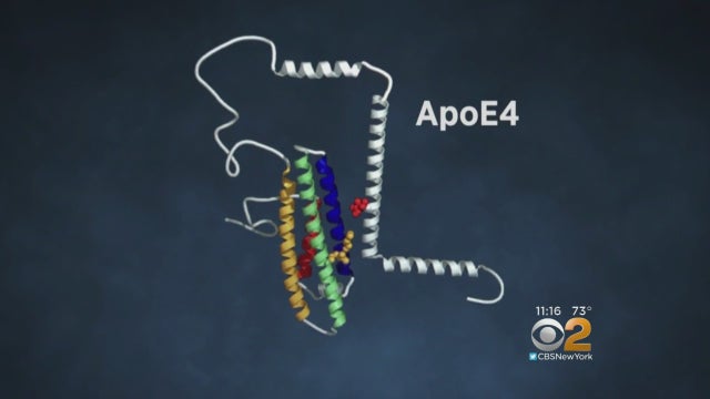 1009gene.jpg 