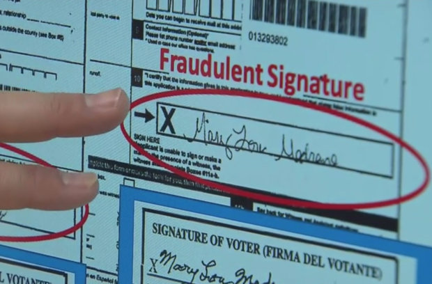 voter fraud 