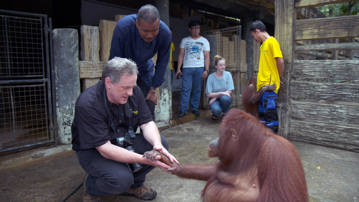 Joel Sartore's Photo Ark: National Geographic Photographer Saving ...