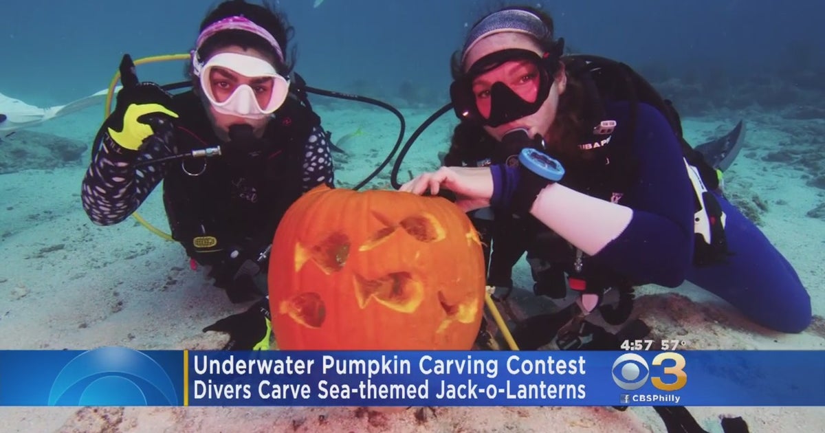 Scuba Divers Get Creative In Underwater Pumpkin Carving Contest CBS