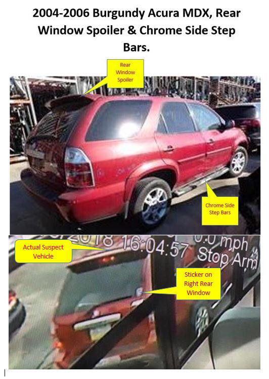 exeter township hit-and-run 