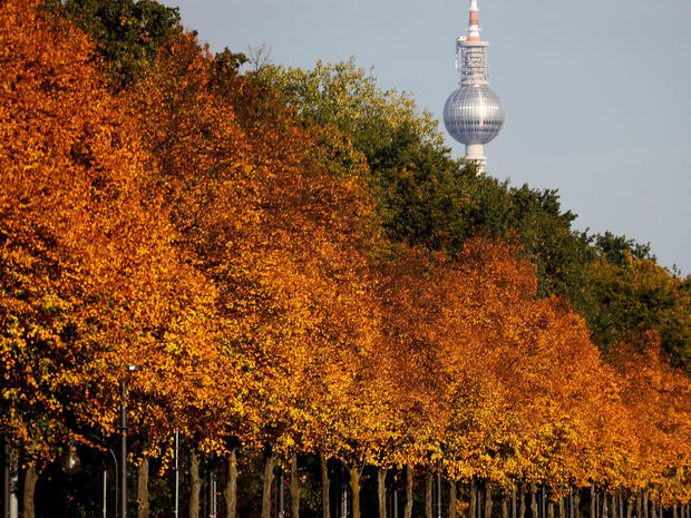 Autumnal trees of the Tiergarten park are pictured in front of the television tower in Berlin 