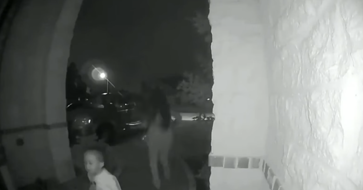 Officials Video Captures Woman Abandoning 2YearOld Boy At Stranger's