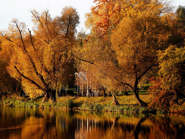 Autumn colours are seen on foliage in a park in Minsk 