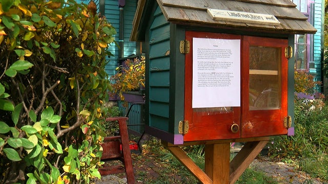 little-free-library.jpg 