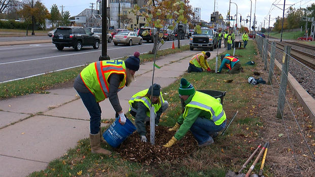 Minneapolis Tree Planting 