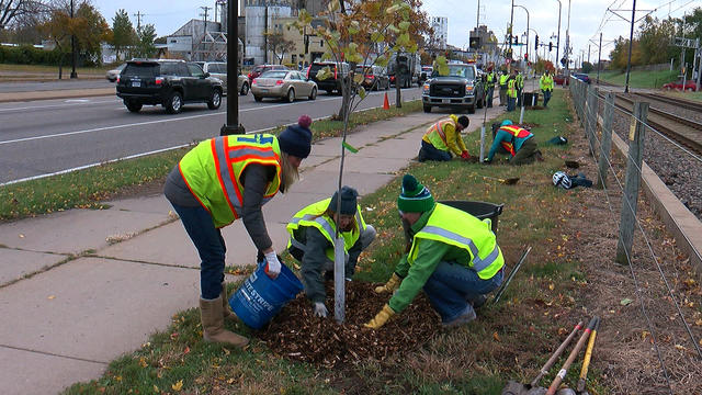 minneapolis-tree-planting.jpg 