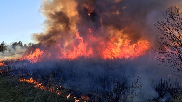 longmont fire 1 copy 