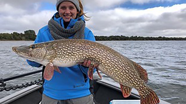 record-pike-2.jpg 