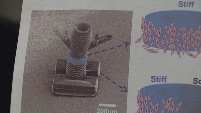 cu-3d-bio-printing-rmc-01-eng-0804649-concatenated-183728_frame_12882.png 