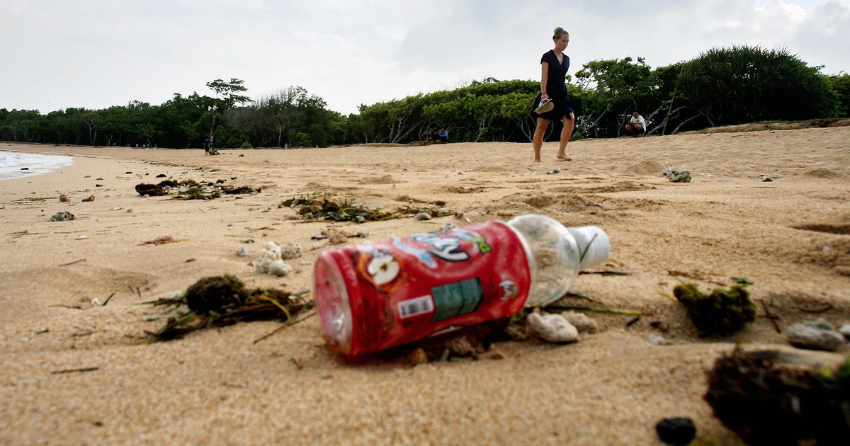 Our Bodies Are Polluted With Plastic, Scientists Warn - CBS San Francisco