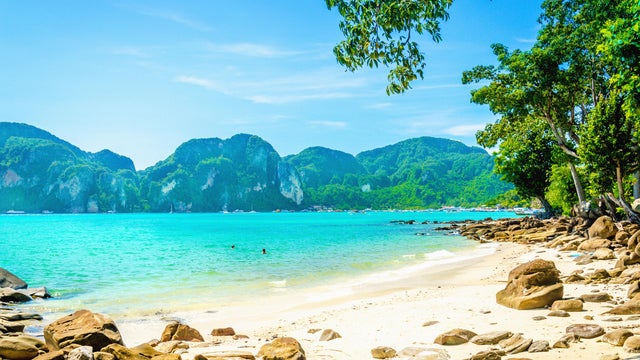 Fabulous beach with exotic plants and white sand 