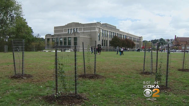 greenfield-elementary-school-trees 
