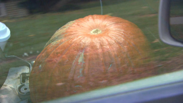 pumpkin-1.jpg 