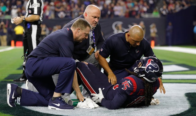 Miami Dolphins v Houston Texans