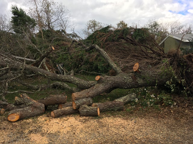 Fishers Island Tornado Damage 
