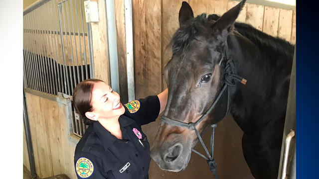 miami-pd-horse-1-1024x576.jpg 