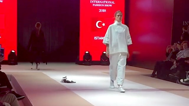 cat-on-runway-2.jpg 