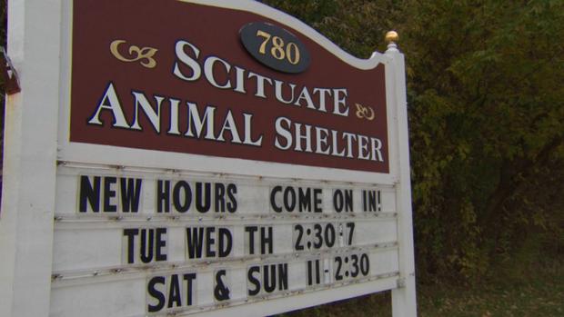 Scituate Animal Shelter 