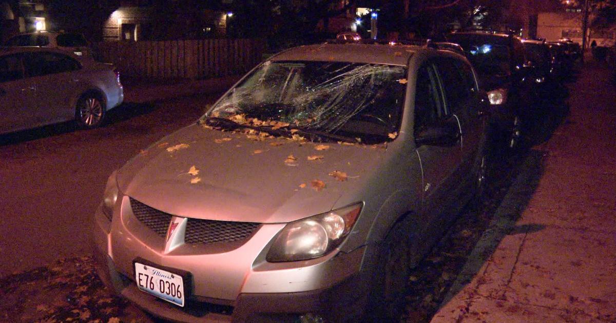 Teens Terrorize Hyde Park; Vandalizing Cars, Harassing Halloween