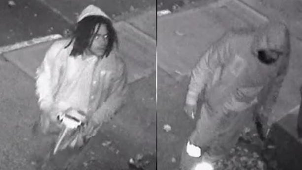 brooklyn-swastika-suspects.jpg 