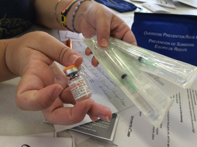 Politics of Pain Hawaii