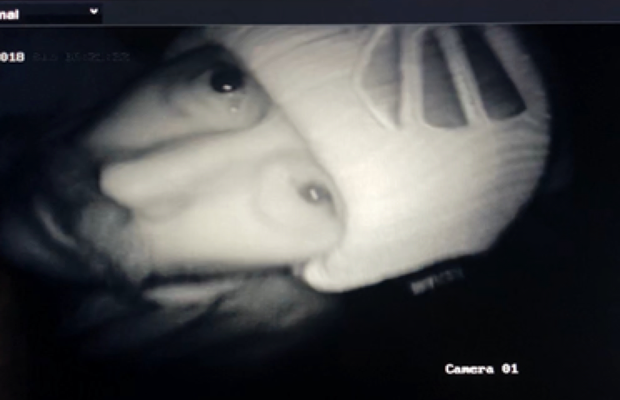 surveillance camera thief suspect 